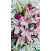 تاجگل مصنوعی M2